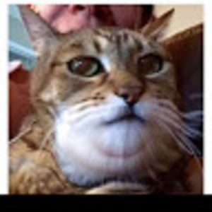 Meet your Posher, C11h15no2